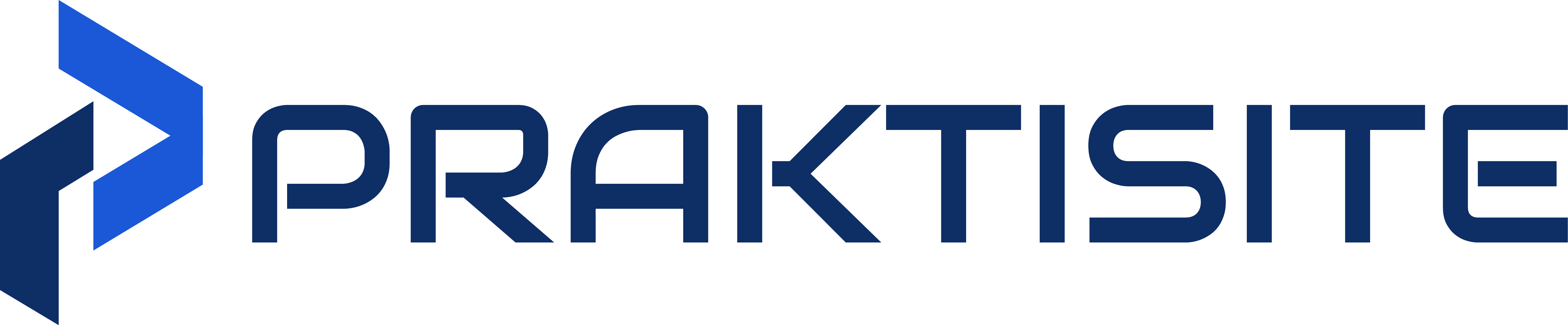 Web Praktis 12